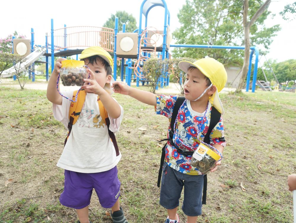 「見てー！いっぱい！！」
バッタはいなかったけど・・・
どんぐりがたくさん落ちてて大量の収穫♡
どんぐりだらけのSくんとどんぐり帽子だらけのNくん
拾うだけでも個性が出ていておもしろい♪