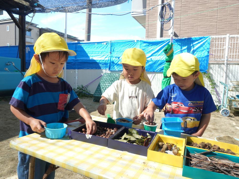 どんぐり　葉っぱ　木の棒　木の実
机に置いているだけでも興味を惹かれる自然物！
遊びの中に積極的に取り入れる姿がみられます♡



「どんぐりごはん！」
「アイスも作りたいなー」
「プリンみたい！」
砂の上に並べたり　砂の中に入れたり
それぞれの考えで工夫しながら・・・♡