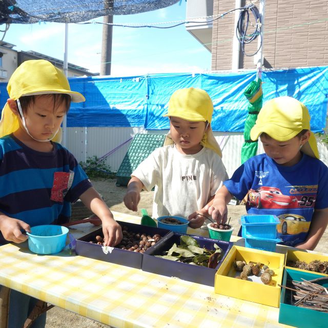 ＊　２歳児　どんぐりで②　＊