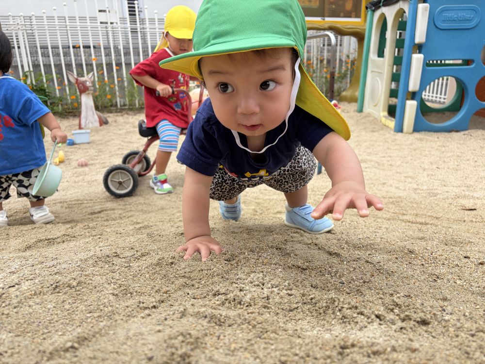 涼しくなってきてウサギ組さんも
園庭で思いっきり遊んでいます。

砂山をハイハイでのぼるKくん。
滑りそうになっても一歩一歩のぼっていました！
