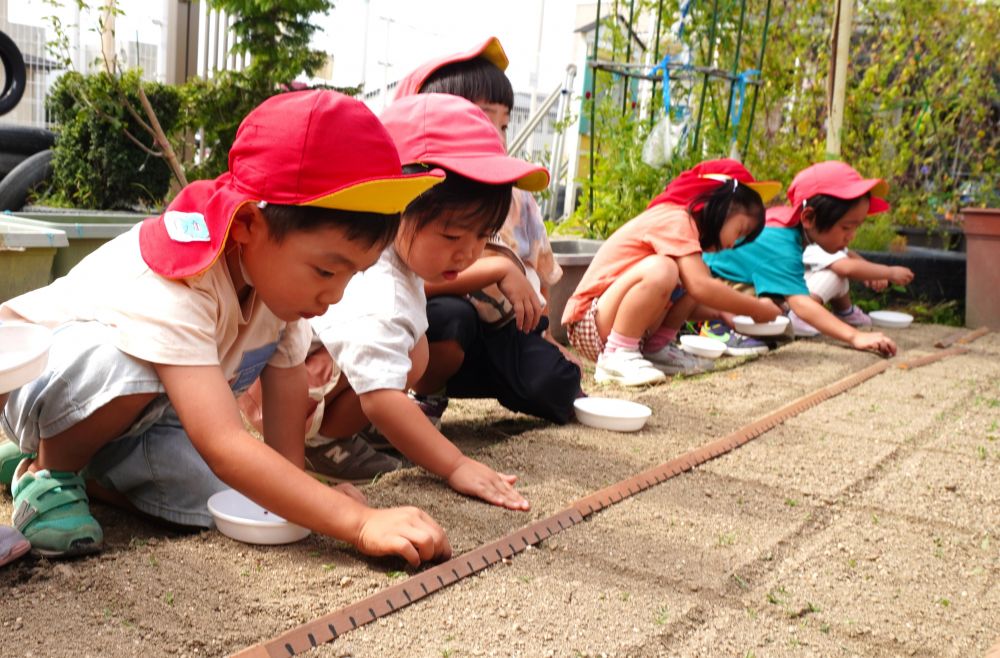 種を植え、最後に土をかけることを忘れずに！
強くぎゅっと土をかけると芽が出てこない・・・
逆に土をかけすぎないと種が出てくる・・・
大根が土の中で大きく育つように
そーっと優しく土をかけていました♡

