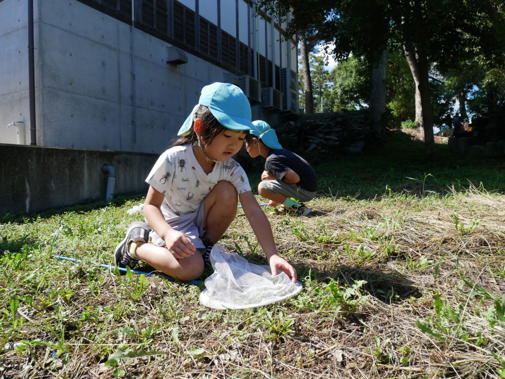 毎日運動会の練習に遊びに
一生懸命なキリン組さん♡
誕生日会が終わり神社まで
秋見つけに行きました🍁

早速！！トンボやバッタを発見✨
網を持って必死に追いかける♪