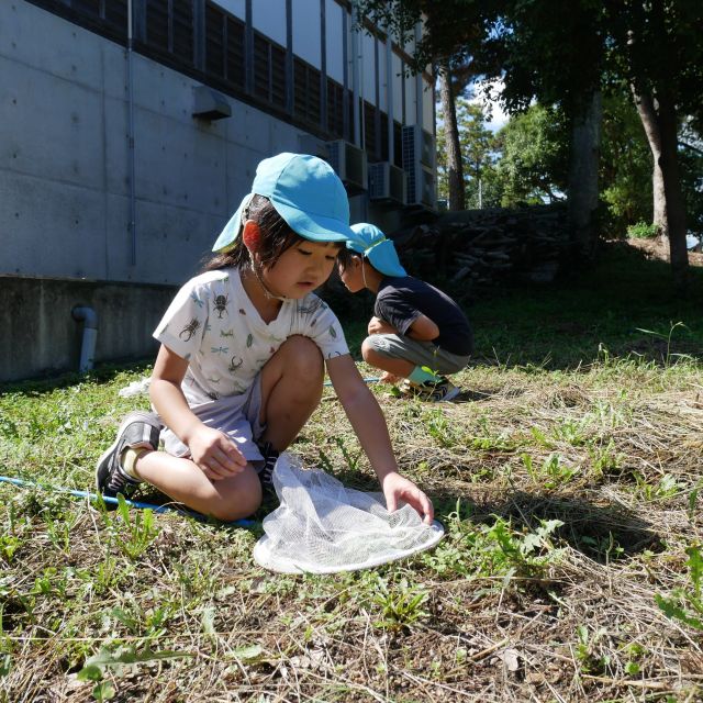 秋見つけ①　＊５歳児＊