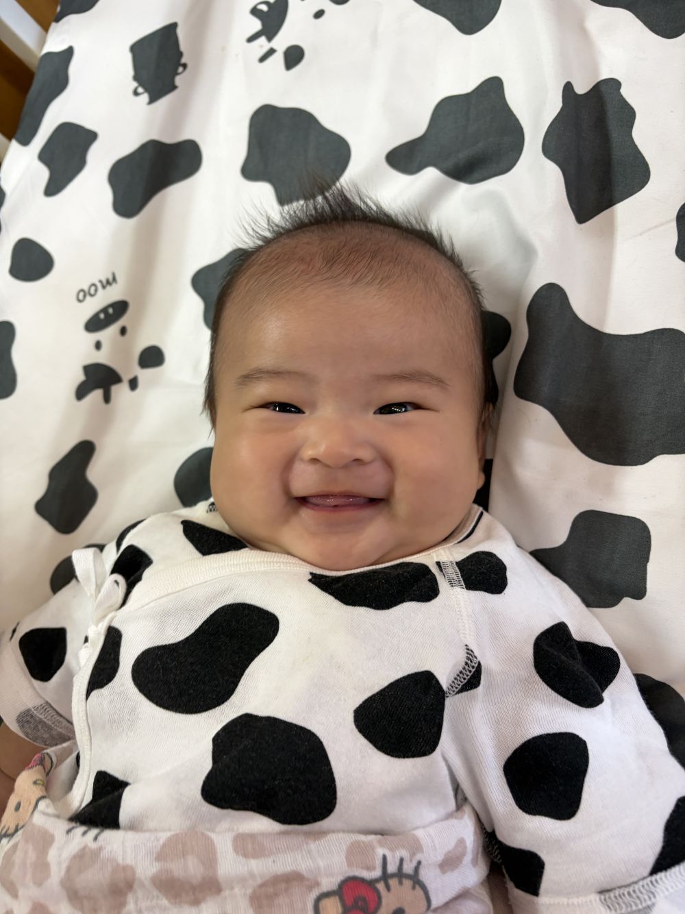今日から新しいお友達がウサギ組にはいったよ！

「Rくん」と声をかけるとニコニコ😊
