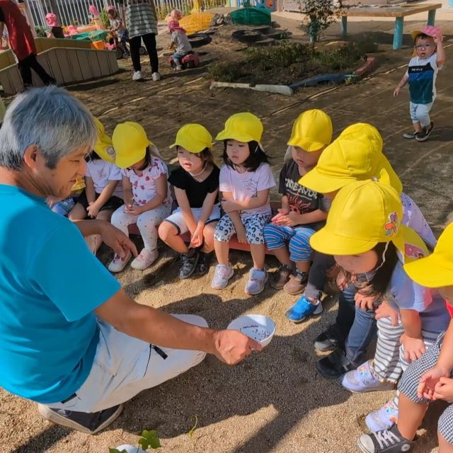 大根の種を蒔いたよ　〜2歳児　クマ組〜