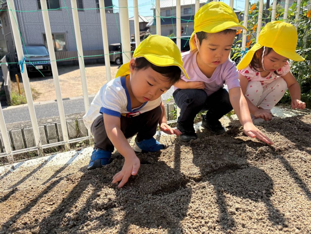 最後はそーっと土のお布団をかけていました！

また、皆で収穫しようね😊
大きくなりますよに🌠