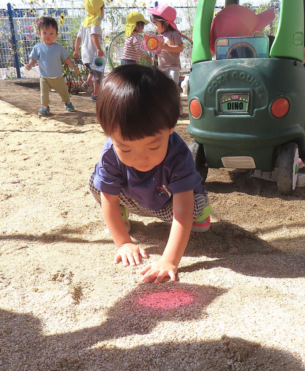 太陽の光が透けて・・・
赤い光が❗不思議だね🤭オモシロいね🌞