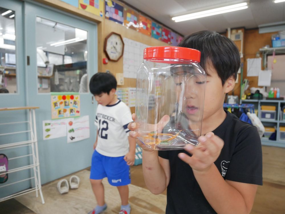 「食べてる！！！！」
「バッタもコオロギも食べてる😲」
とみんなで観察👀
「あ！！Kくんきゅうり🥒家にある！！」
「明日あげよう♪」　と嬉しそう♡