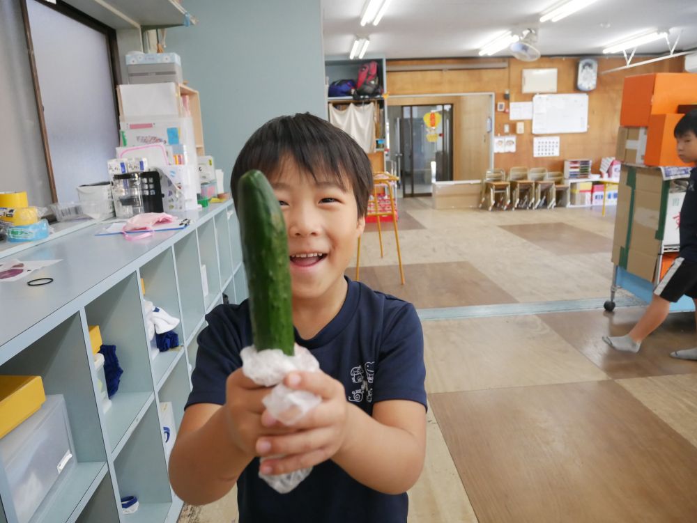 すると朝…しっかり覚えていたようで
「先生持ってきたー！！！！！♡」
と立派なきゅうりを持ってきてくれました😆

「きゅうり持ってきたから切って」
と給食先生にお願いし、
「にんじん食べたけうんちがオレンジじゃね」
と入れ物も全部キレイにしてあげていました😊
季節の生き物に出会い、図鑑や実際に観察する事で
生き物への関心が日々深まっています♪