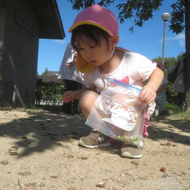 ＊　1歳児　秋のお散歩　＊