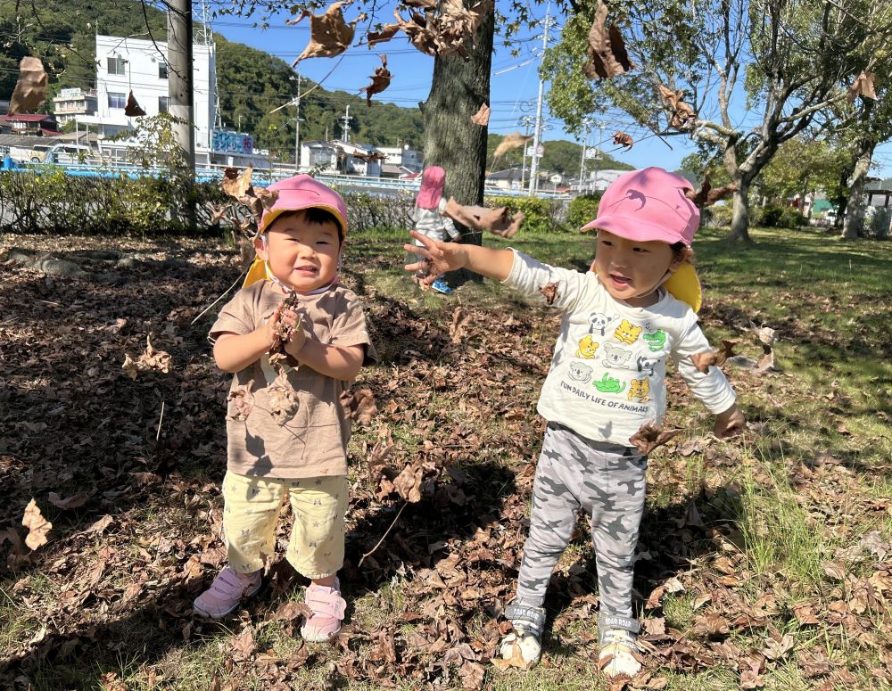 ヒヨコ組さん、公園にお散歩🐤

パッサー🍂
　落ち葉がいっぱい✨