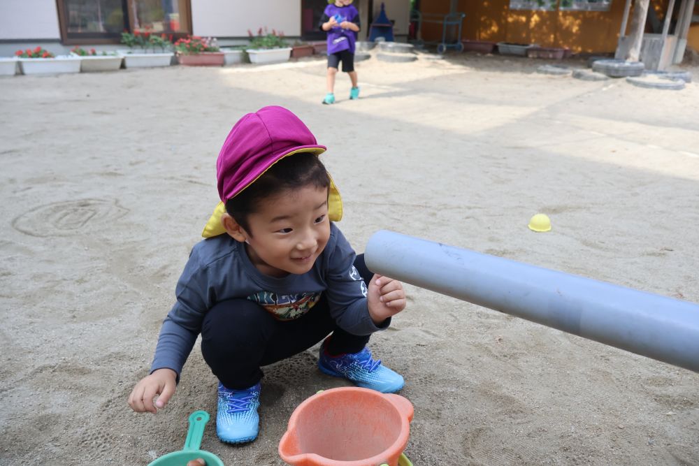 Ｓ君は、雨どいを使ったすべり台に
どんぐりが転がっている様子を見たくて、
じーっくり観察していました👀
