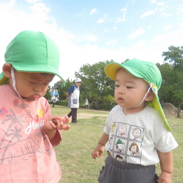 ＊　０歳児　お弁当の日　＊