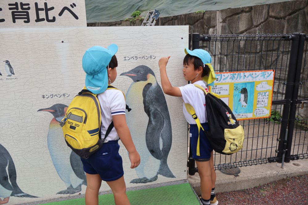 楽しみに楽しみにしていた遠足🚌
天気にも恵まれ、バスに乗って福山動物園へ🐼

バスの中でもルンルン♪
「もう門田から20キロも離れましたー！！」
「バイパス乗りま～す」
と景色を楽しんだり鼻歌を歌ったり♬

スタンプラリーを持って出発💨
到着すると早速ペンギンさんがお出迎え🐧
「俺の方がでかい！！」
ペンギンと背比べを楽しむRくん
園内には数か所背比べがありましたが
全部していました😊