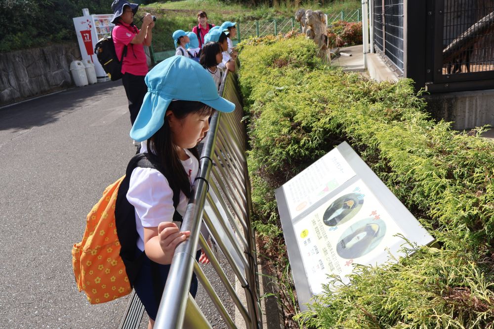 「次は何コーナー？？」
「さるだって🐵！！」
文字も読める子が増えてきて
看板を見て名前を読んだり、
バナナ食べるん？と説明を読んだりして
園内を楽しみました😚