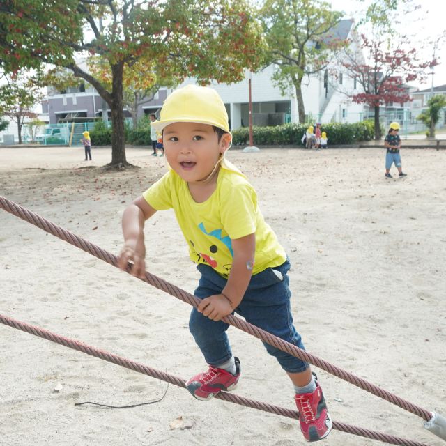＊　２歳児　お弁当の日　＊