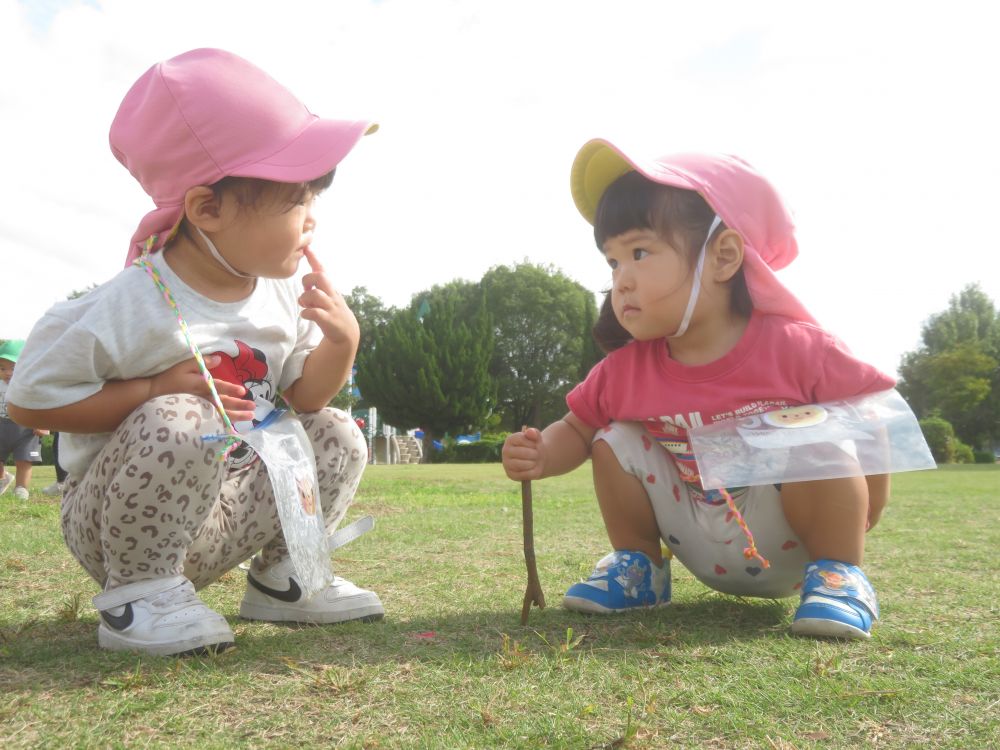 今日は楽しみにしていたお弁当の日♪
ヒヨコ組さんは東尾道公園へ散歩に行きました

Mちゃんは木の棒を発見！！
同じく木の棒を見つけたお友達と
芝生をつんつん！とつついてみます
羨ましくなったRちゃんがMちゃんに「かしてー」と言うと
もう1本見つけてきてくれました♡

