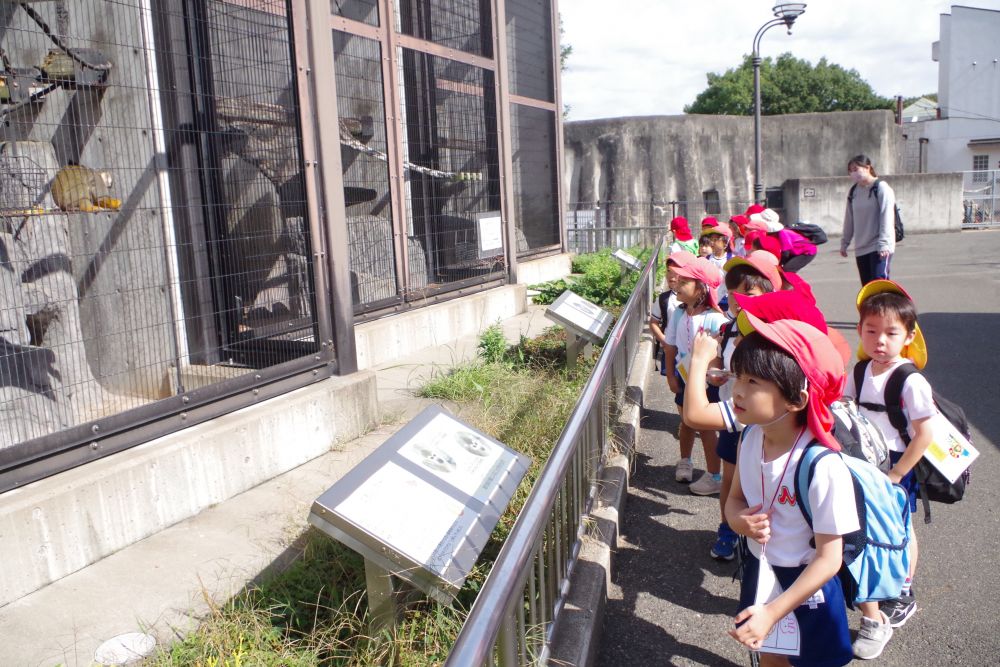 動物園に到着！
さっそくサルゾーンからまわります🐒

「かわいい💗」
「サルおった！おると思ったんだよね」

サルがいると予想していた子たちは大喜び😊


