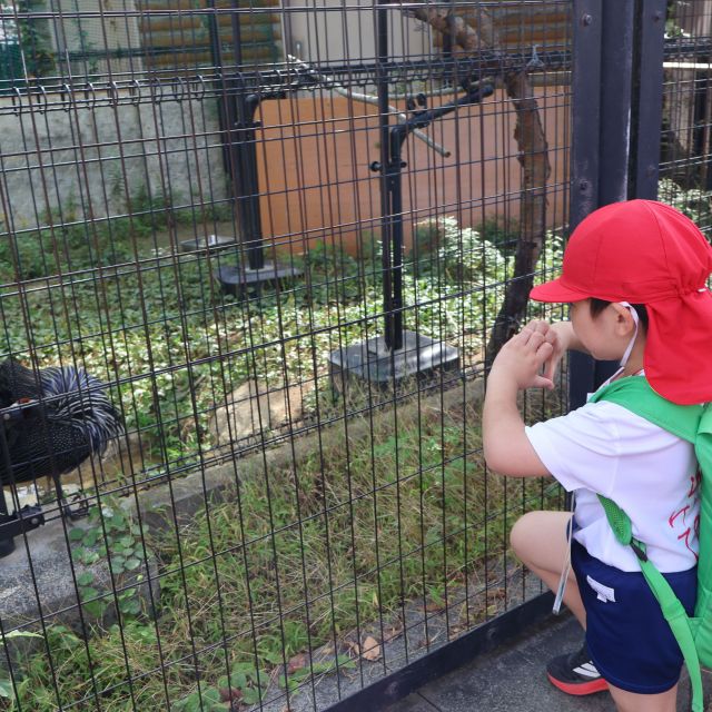 タカオ福山動物園③　＊４歳児＊