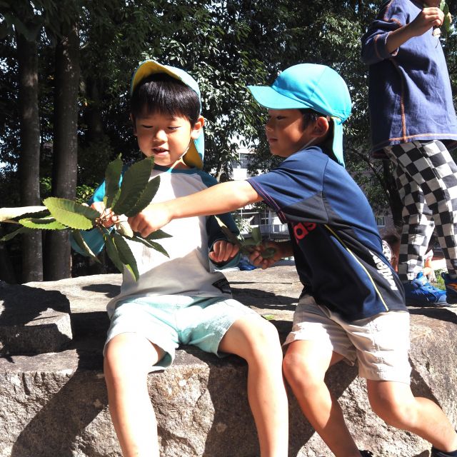 落ち葉を拾いに…🍂　＊５歳児＊